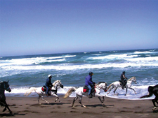 USA-California-Redwood Coast Ride